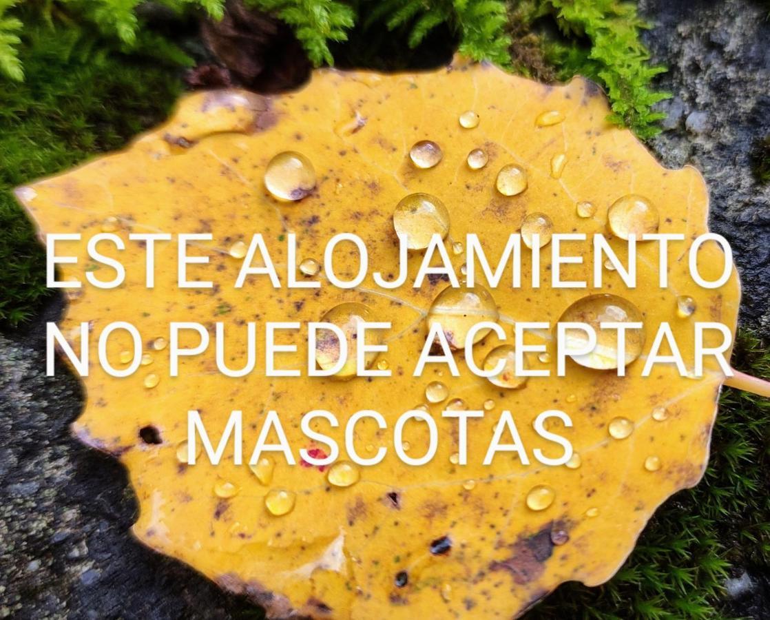 Appartamento Pleta del Mont Atico Benasque Esterno foto